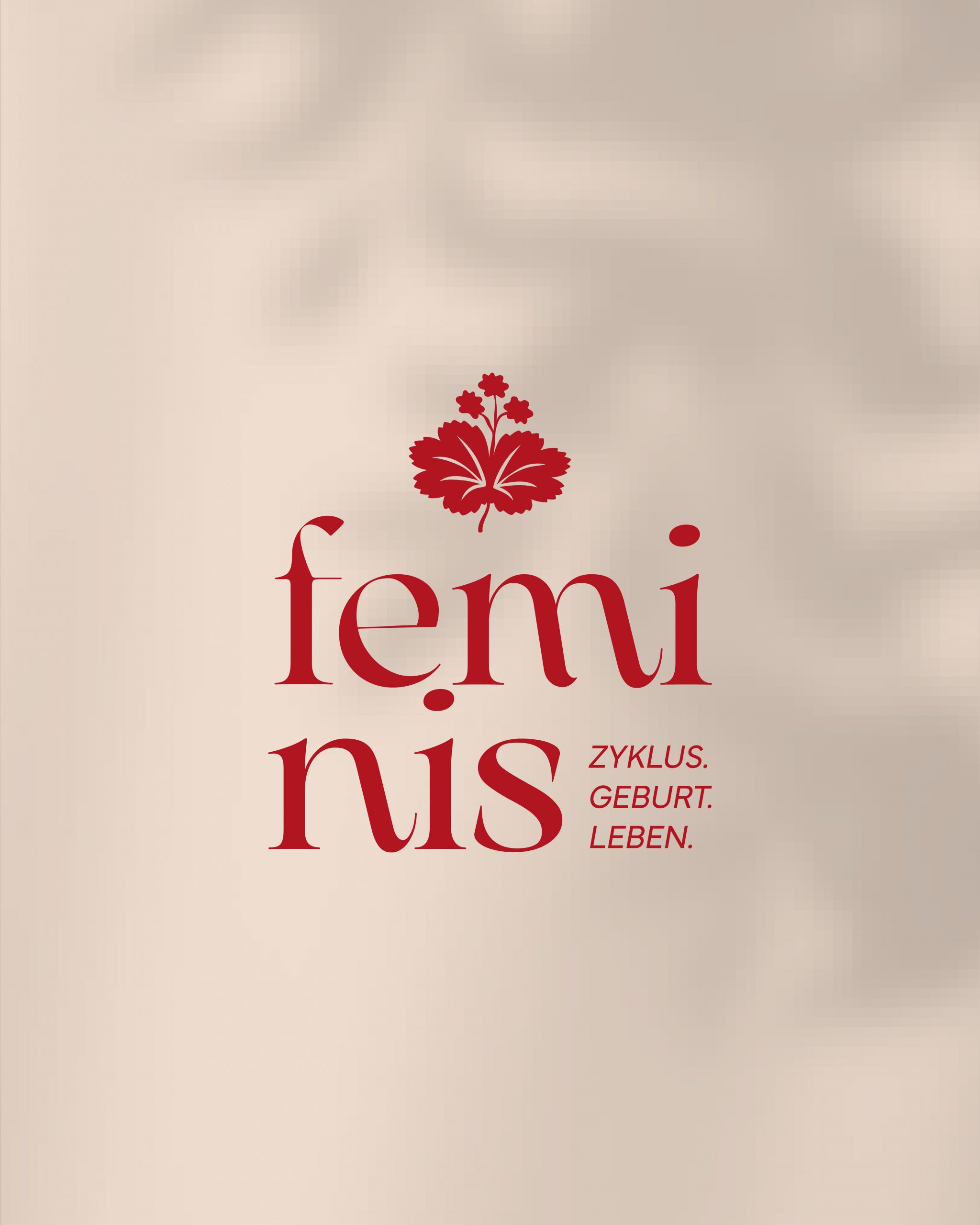 Insta_1080x1350_feminis_Slide2