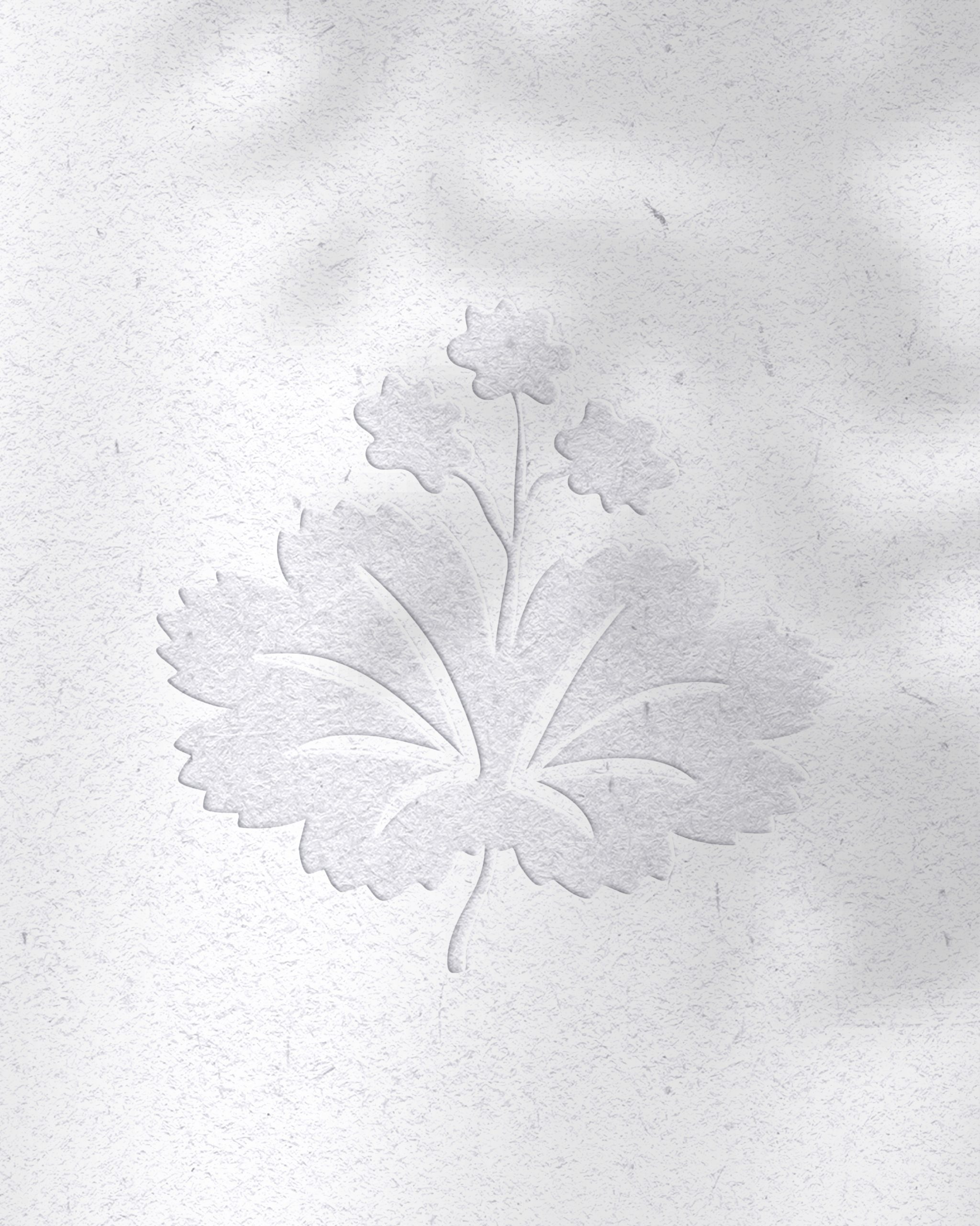 Insta_1080x1350_feminis_Slide7